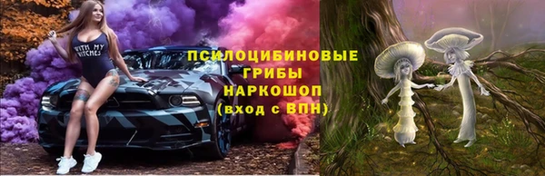 apvp Алзамай