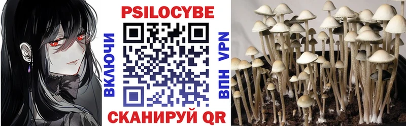 Псилоцибиновые грибы Psilocybe  Купить  Судогда 